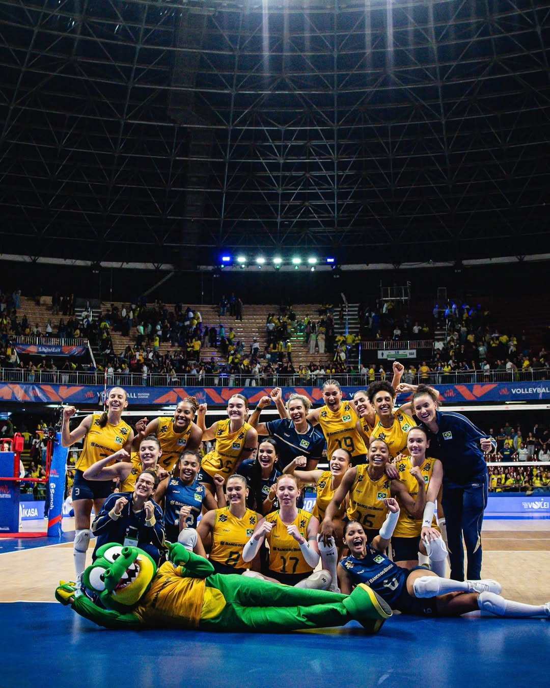 Acervo VNL